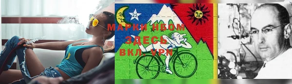 стаф Верхний Тагил