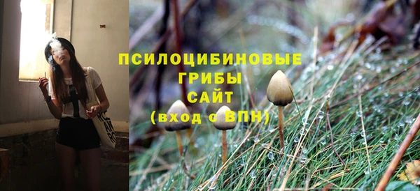 стаф Верхний Тагил