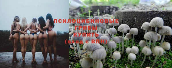стаф Верхний Тагил