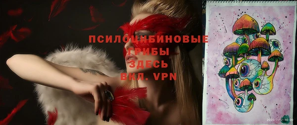 стаф Верхний Тагил